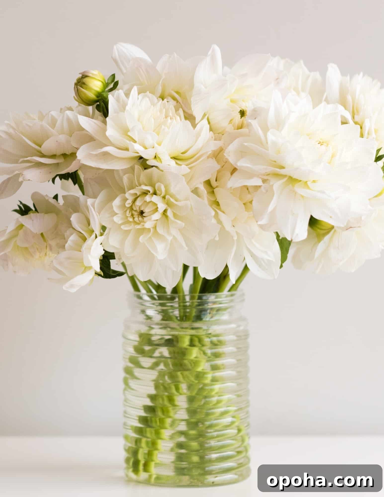 featured 10091