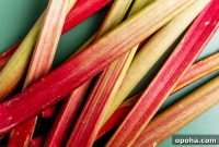 Cooking Rhubarb: Simple Recipes and Tips for Perfect Results