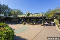 Genie+ Tips for Disney’s Animal Kingdom: Save Time & Skip Lines