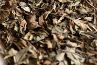 12 Science-Backed Benefits of Peppermint Tea for Wellness