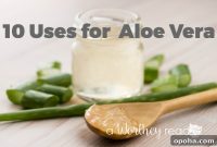 10 Practical Uses for Aloe Vera: Skin, Hair, and Home Remedies