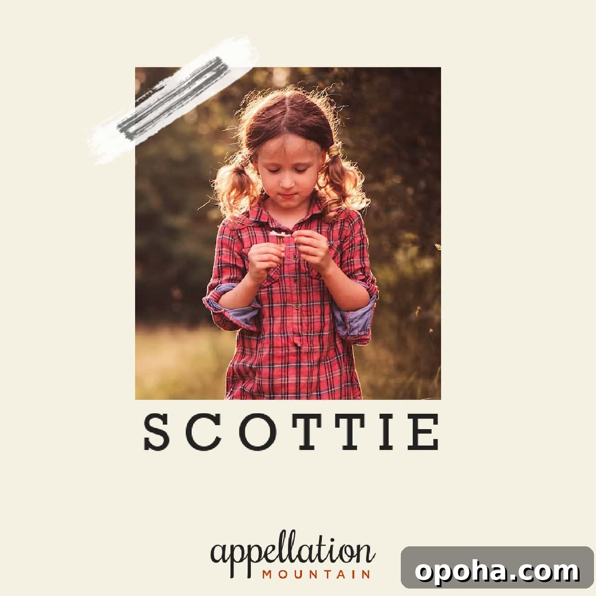 featured 75314