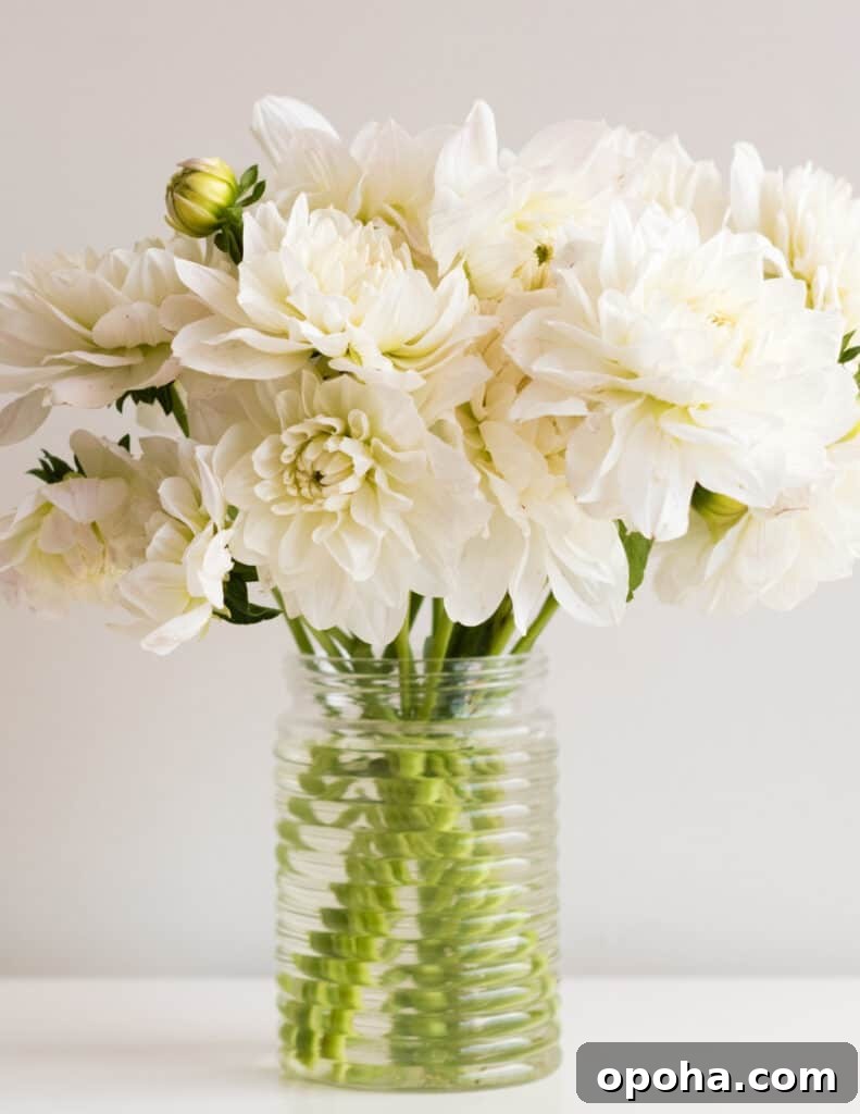 June 4, 2021 Favorites: Top Picks and Must-Haves 2 a glass full of white dahlia blooms is one of my favorite things
