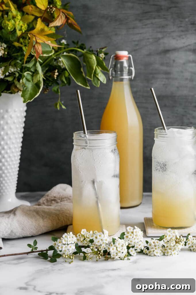 June 4, 2021 Favorites: Top Picks and Must-Haves 3 a favorite thing at our house is the instant pot ginger ale syrup. It's really easy to make and I love to add this to a glass with ice and sparkling water