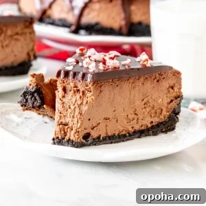 Piece of chocolate candy cane cheesecake with glass of milk
