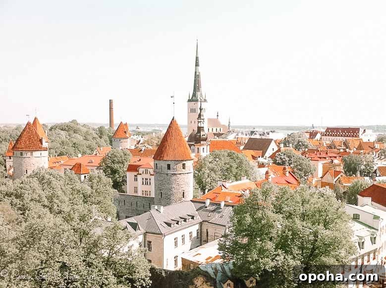 Old Town Tallinn Estonia | Umami Girl 780