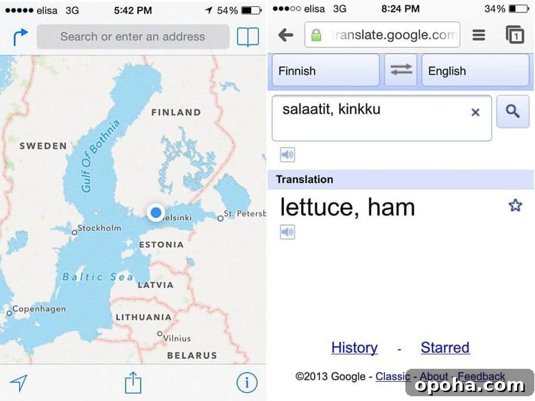Ham Salad in Helsinki Finland | Umami Girl 780