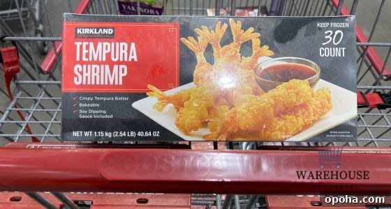 Top Air Fryer Finds at Costco: Crispy, Crunchy, Convenient Picks 7 img 10216 6