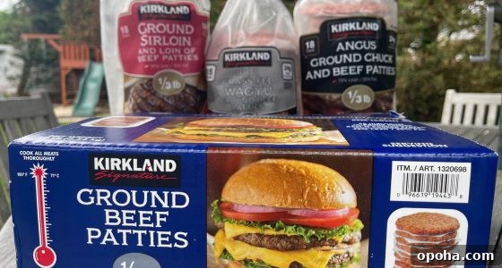 Top Air Fryer Finds at Costco: Crispy, Crunchy, Convenient Picks 9 img 10216 8