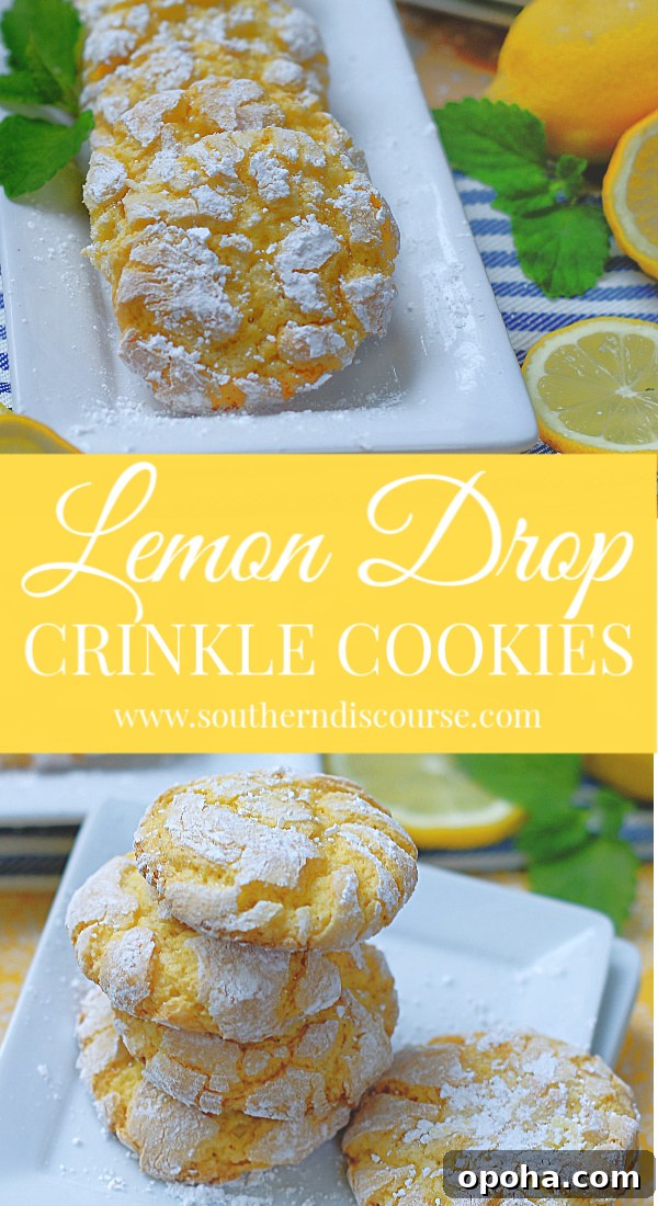 Zesty Lemon Crinkle Cookies Recipe for Bright, Chewy Cookies 9 Lemon Drop Crinkle Cookies are so pretty and easy to make! Cake mix is used for this cookie dough, and the cookies are rolled in powdered sugar to create gorgeously light cookies that are sweet and lemony tart! #southerndiscourse #lemondrop #crinklecookies #lemon
