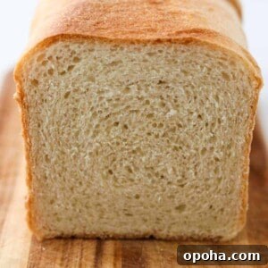 Featured image for Soft and Tender Buttermilk Bread.