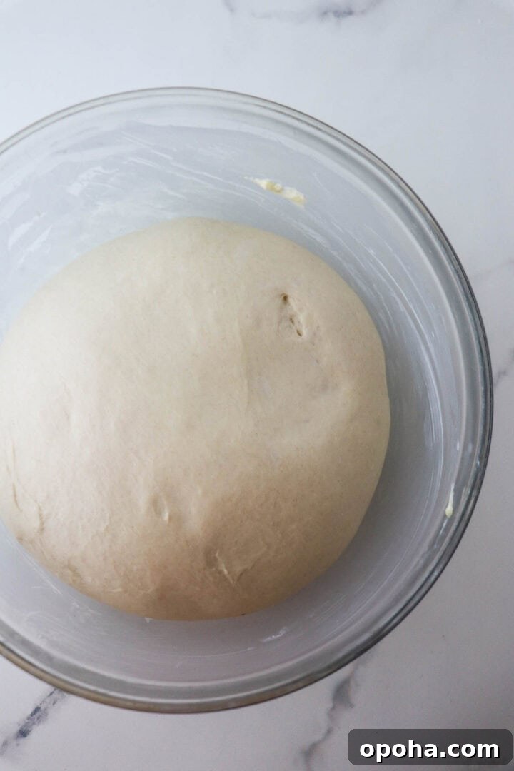 Risen dough for Soft and Tender Buttermilk Bread.