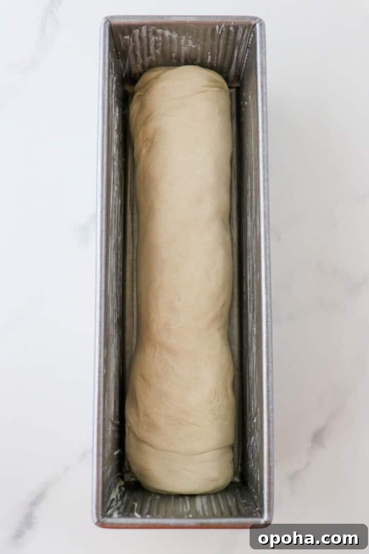 Unbaked loaf of buttermilk bread in a loaf pan.