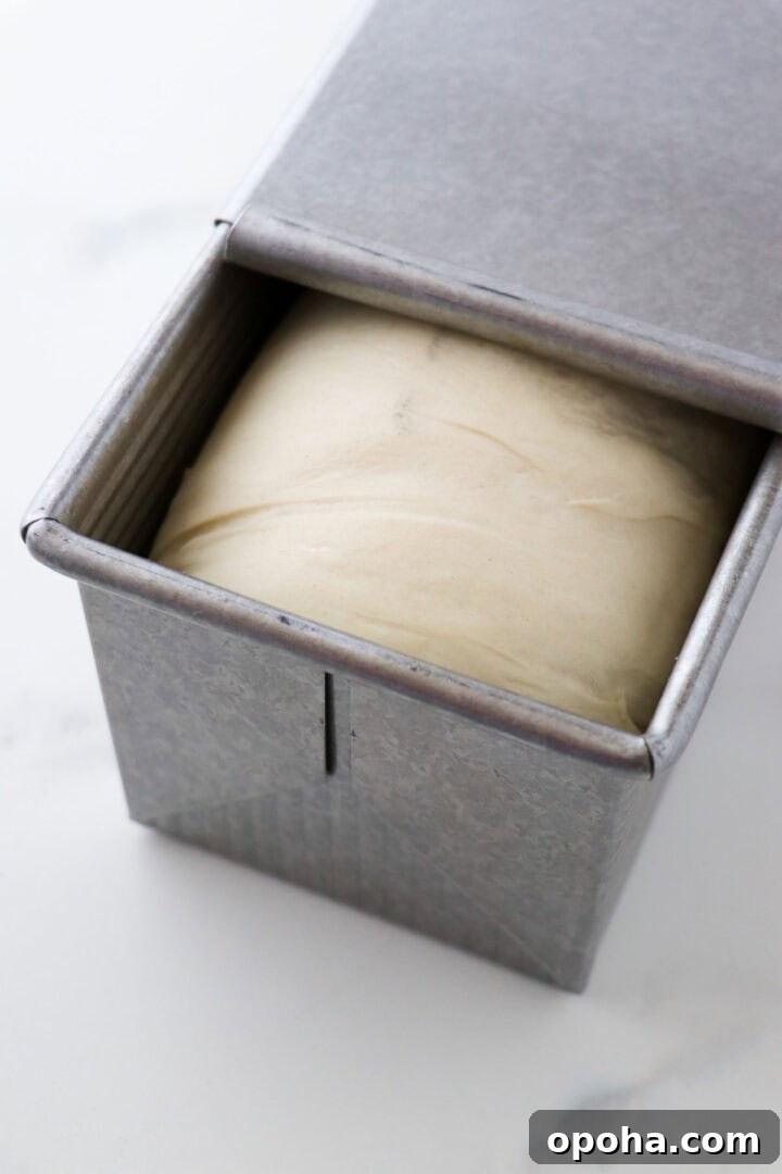 Unbaked loaf of buttermilk bread in a pullman pan with the lid partially slid back.