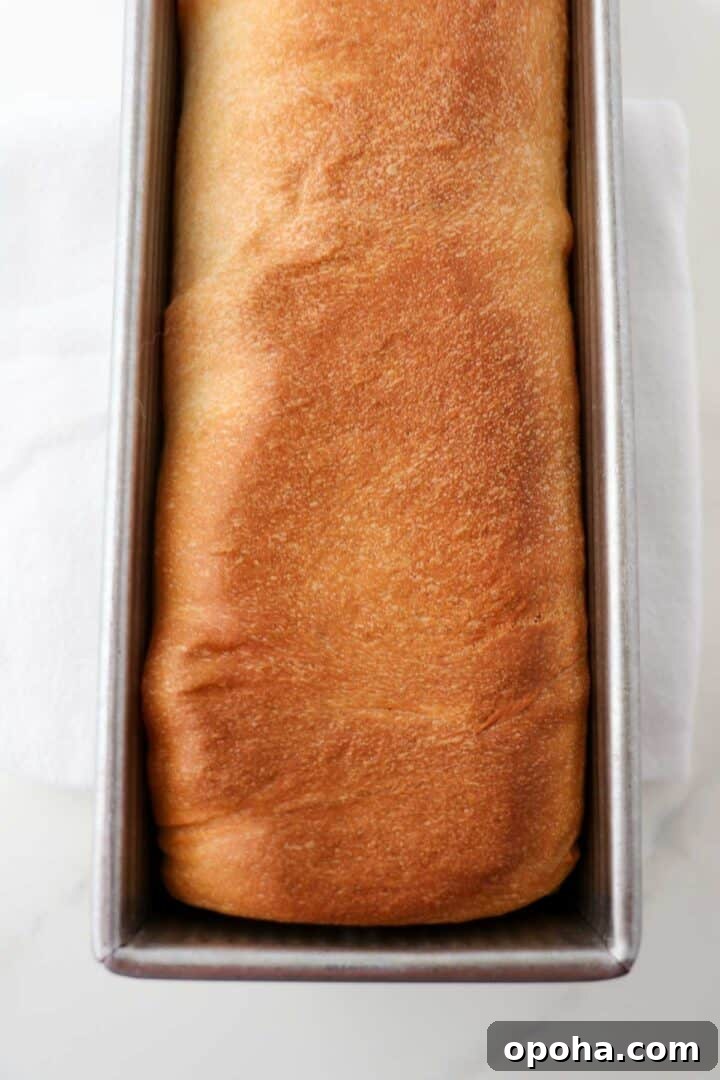 Loaf of Buttermilk Bread in a metal baking pan.