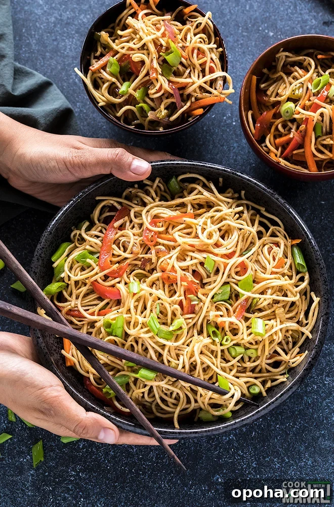 pair of hands holding a bowl of hakka noodles with chopsticks