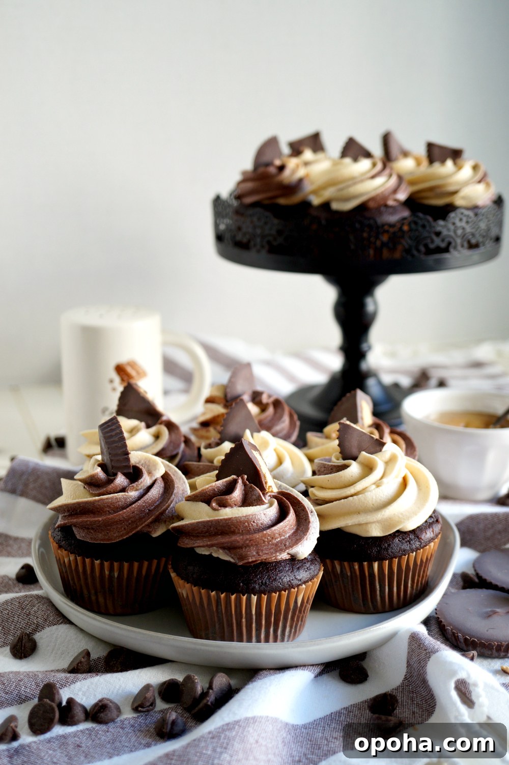 Vegan Dark Chocolate Cupcakes with Peanut Butter Swirl 2 plate of chocolate peanut butter cupcakes