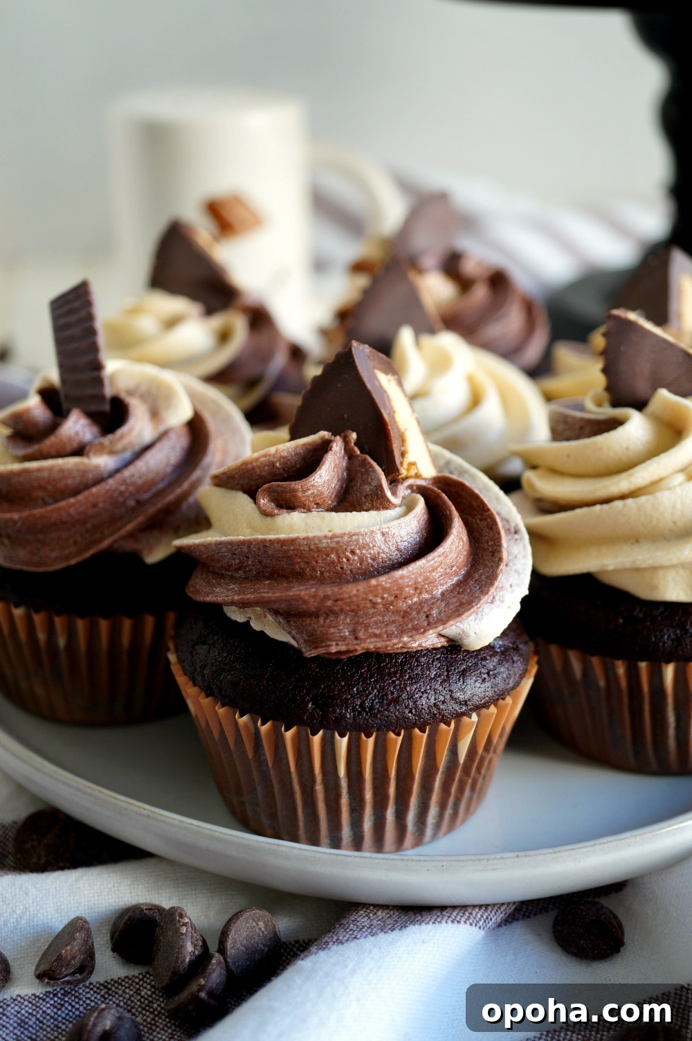 Vegan Dark Chocolate Cupcakes with Peanut Butter Swirl 6 chocolate peanut butter swirl cupcakes on plate