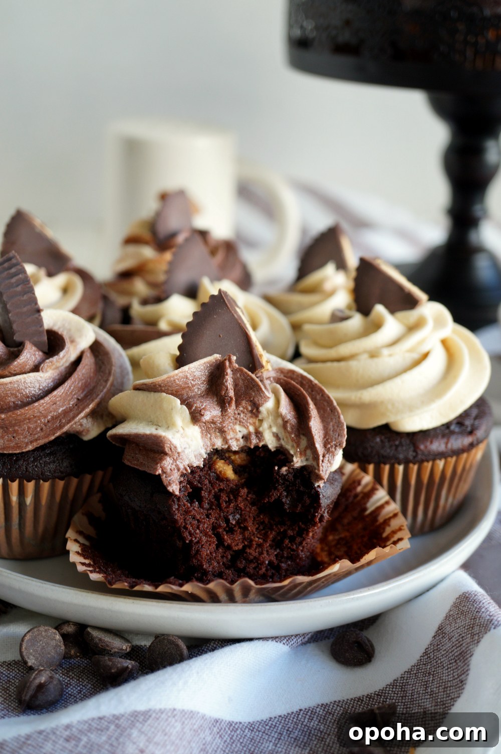 Vegan Dark Chocolate Cupcakes with Peanut Butter Swirl 7 chocolate peanut butter cupcakes with bite
