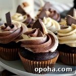 Vegan Dark Chocolate Cupcakes with Peanut Butter Swirl 8 chocolate peanut butter swirl cupcakes on plate