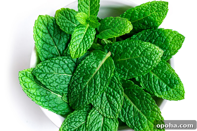 Blueberry Mojito Mint it Up!