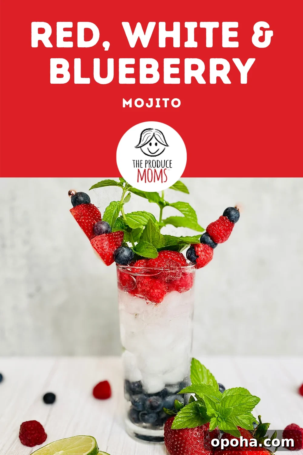 Patriotic Red, White & Blueberry Mojito Recipe 3 img 106629 5