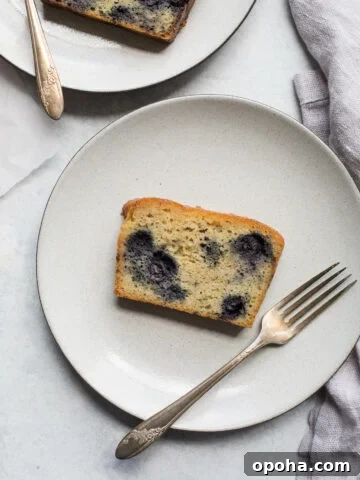 Lemony Almond-Blueberry Cake (gluten-free, dairy-free) | saltedplains.com