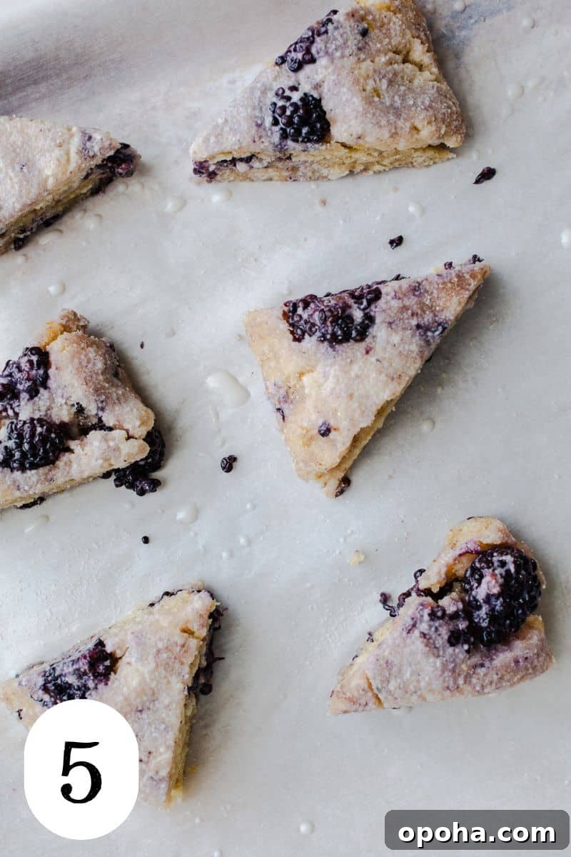 Unbaked scones on a tray.