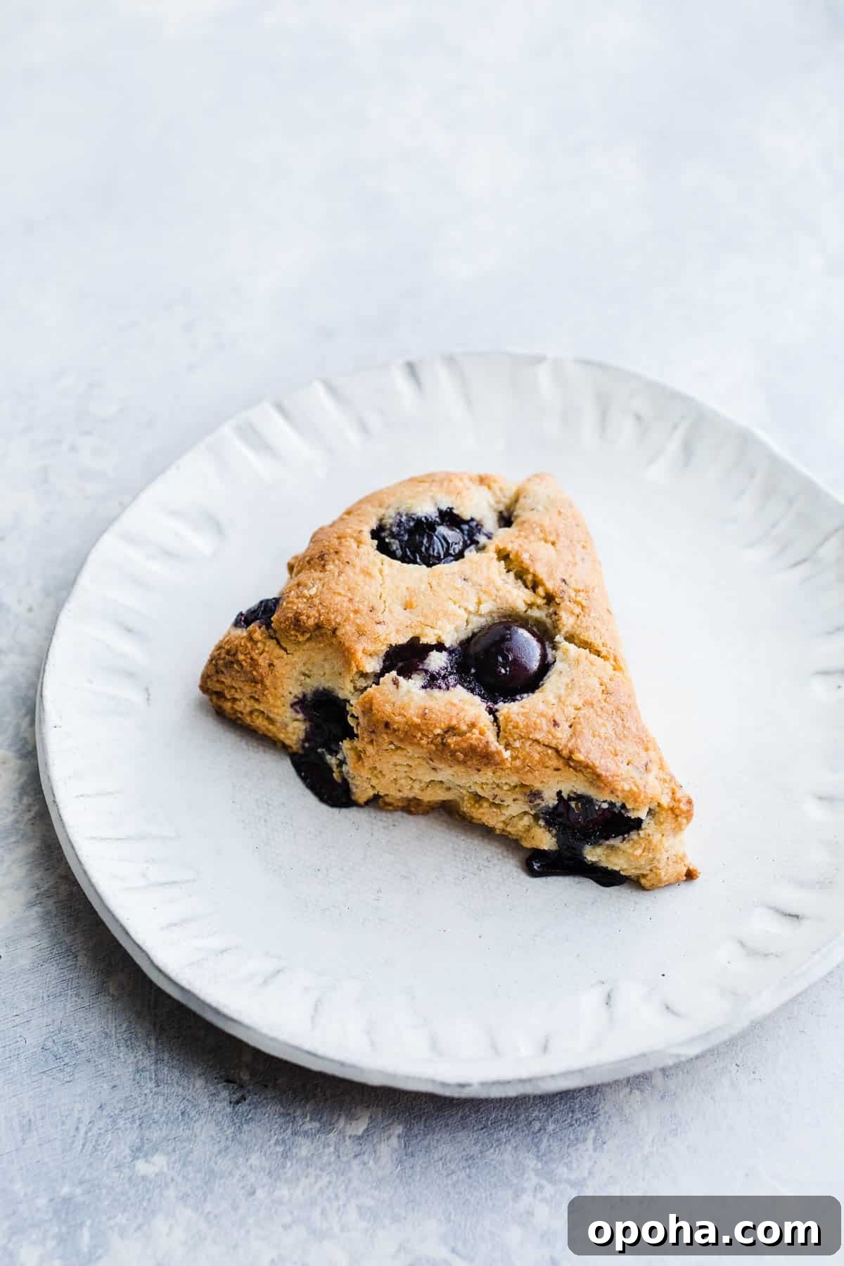 Blueberry scone on a white plate.