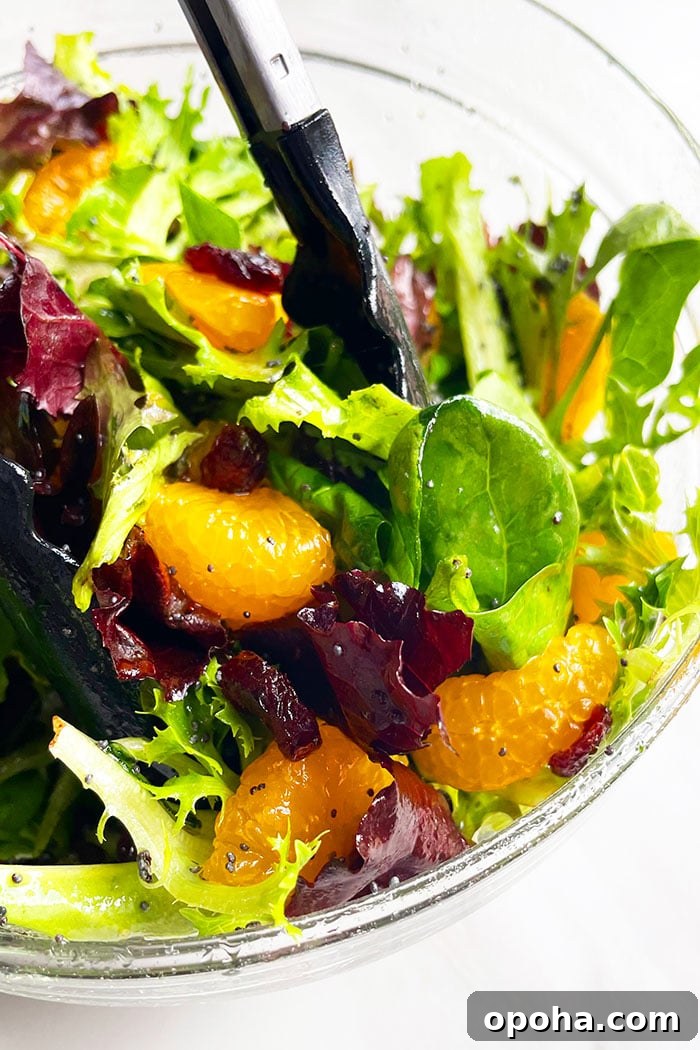 Tongs Full of Classic Arugula Spinach Orange Salad With Orange Dressing and Cranberries in Glass Bowl