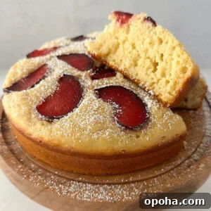 Moist Yogurt Plum Cake Recipe for Perfect Summer Baking 12 Yogurt plum cake on a cake stand.