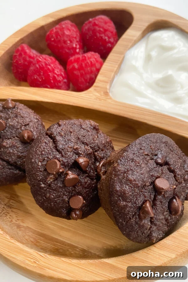 Moist Yogurt Plum Cake Recipe for Perfect Summer Baking 10 Mini double chocolate banana muffins served with raspberries and yogurt.