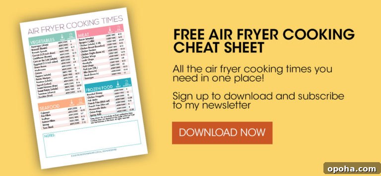 air fryer cheat sheet printable