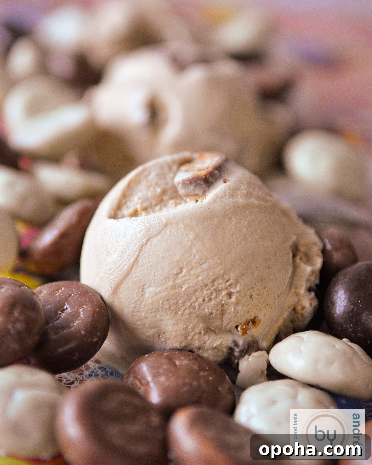 Homemade Pepernoten Ice Cream Recipe — Dutch Spiced Cookie Swirl 2 A scoop of chocolate pepernoten ice cream on a bed of chocolate pepernoten