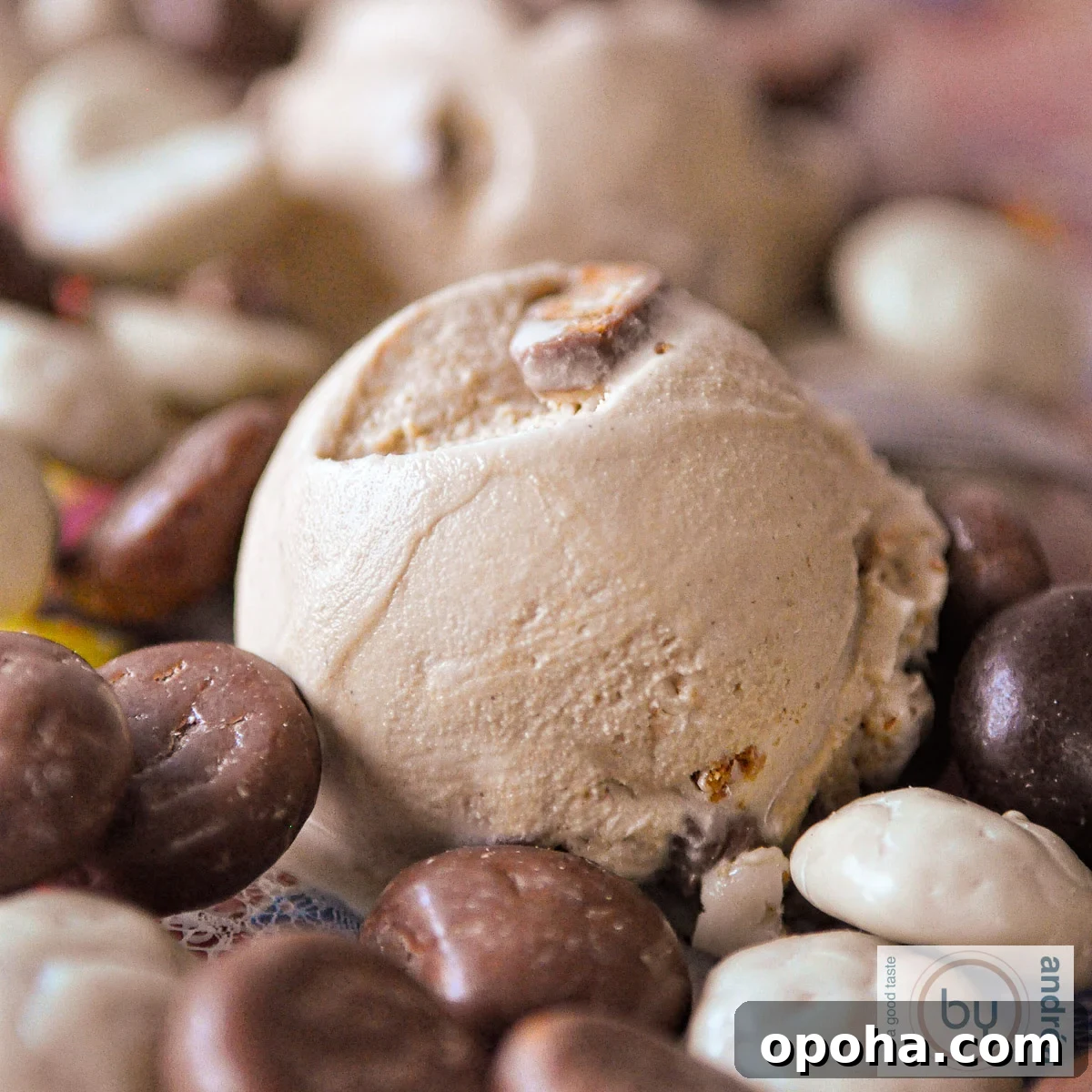 Homemade Pepernoten Ice Cream Recipe — Dutch Spiced Cookie Swirl 3 Sinterklaas chocolate pepernoten ice cream on a layer of pepernoten