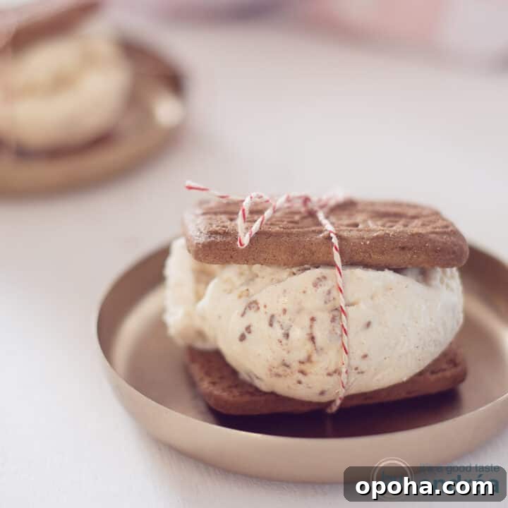 A square photo with gingerbread ice cream between two gingerbread cookies on a gold plate.