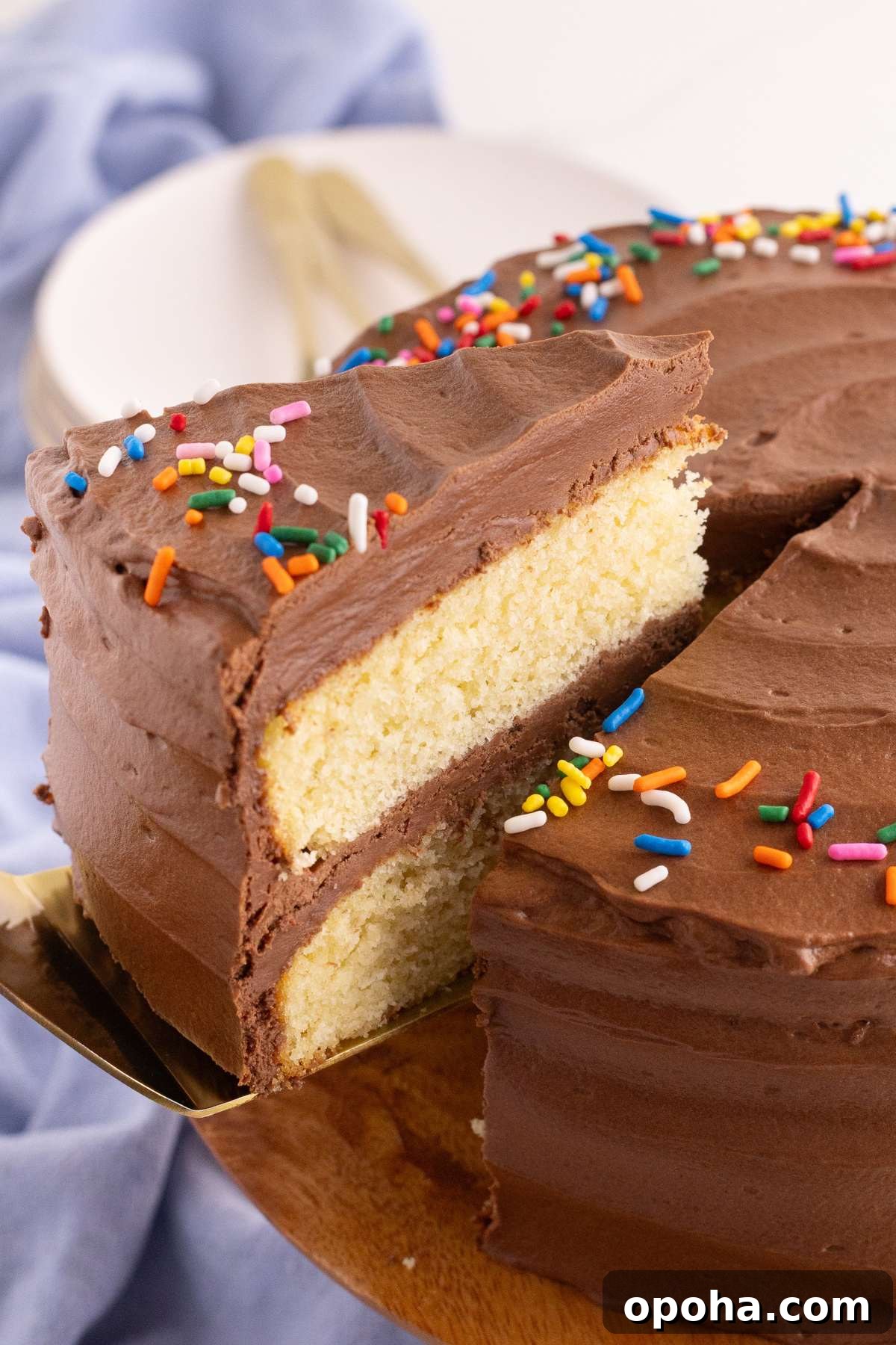 Classic Yellow Cake with Rich Chocolate Frosting Recipe 2 Sliced yellow cake showing moist layers and thick chocolate frosting filling.