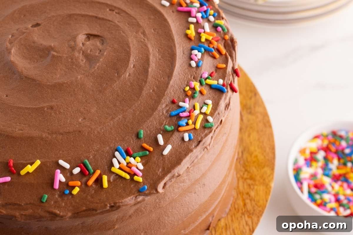 Classic Yellow Cake with Rich Chocolate Frosting Recipe 11 frosting and sprinkled cake
