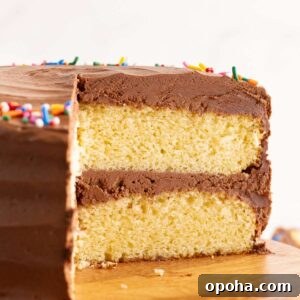 Classic Yellow Cake with Rich Chocolate Frosting Recipe 12 round cake cut to reveal layers.