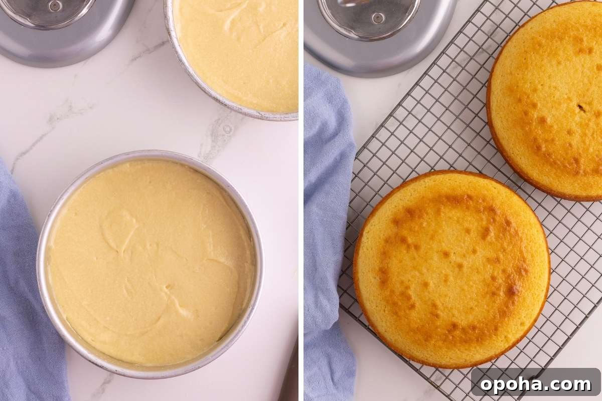 Classic Yellow Cake with Rich Chocolate Frosting Recipe 7 cake pans before and after baking.