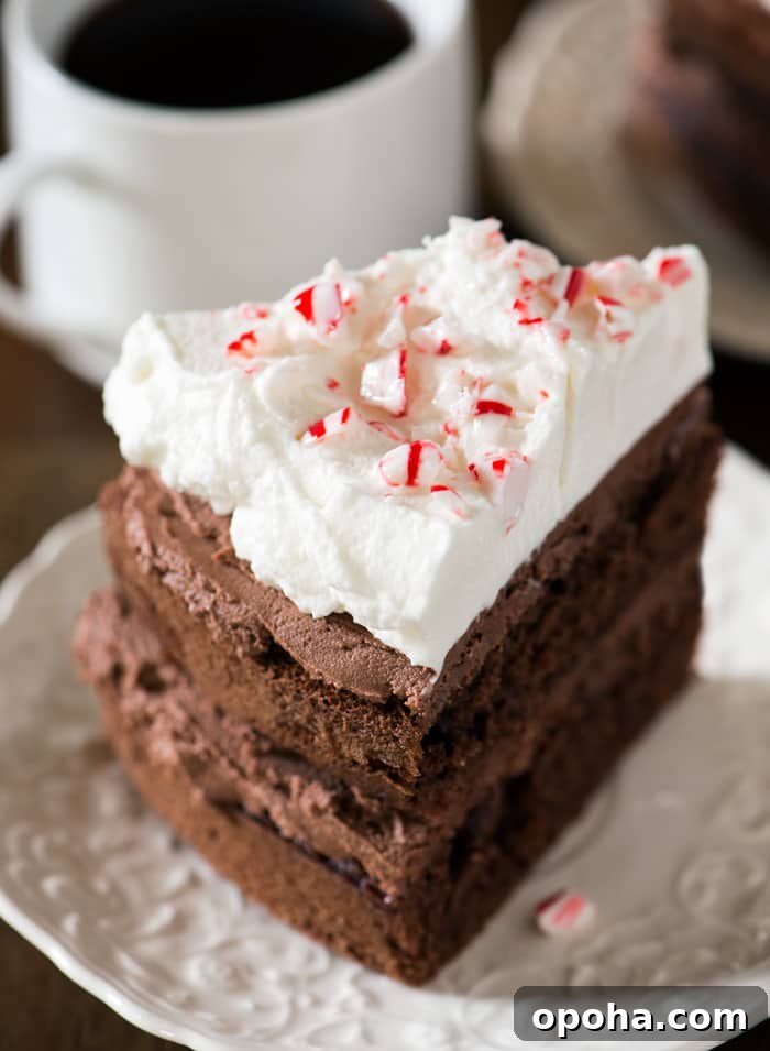 This Peppermint Mocha Cake has layers of chocolate mocha cake and chocolate peppermint frosting with peppermint whipped cream on top and of course, a sprinkle of crushed candy canes.
