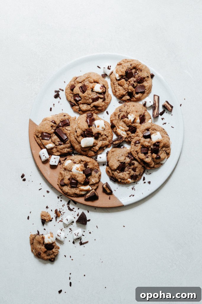 Peanut Butter Cup S'mores Cookies Recipe for Gooey Chocolate Treats 2 Peanut Butter Cup S'mores Cookies Gluten Free Grain Free