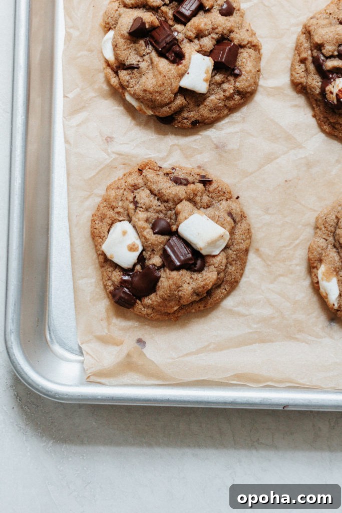 Peanut Butter Cup S'mores Cookies Recipe for Gooey Chocolate Treats 3 Peanut Butter Cup S'mores Cookies Gluten Free Grain Free