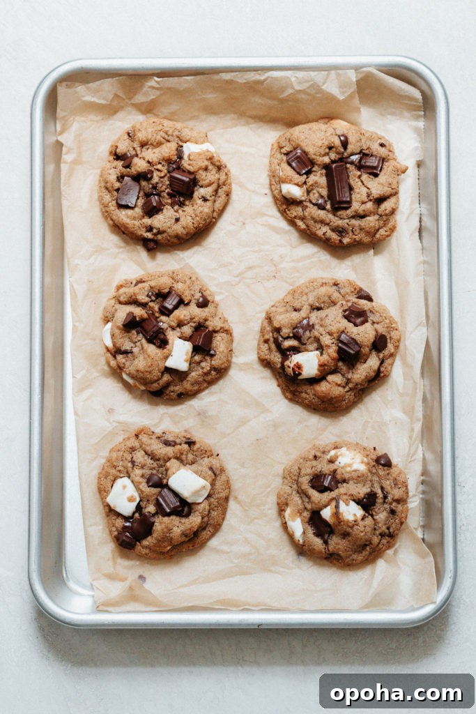 Peanut Butter Cup S'mores Cookies Recipe for Gooey Chocolate Treats 5 Peanut Butter Cup S'mores Cookies Gluten Free Grain Free