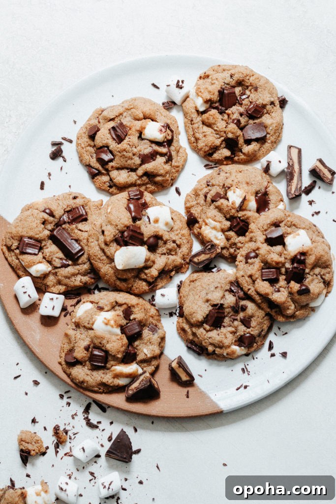 Peanut Butter Cup S'mores Cookies Recipe for Gooey Chocolate Treats 6 Peanut Butter Cup S'mores Cookies Gluten Free Grain Free