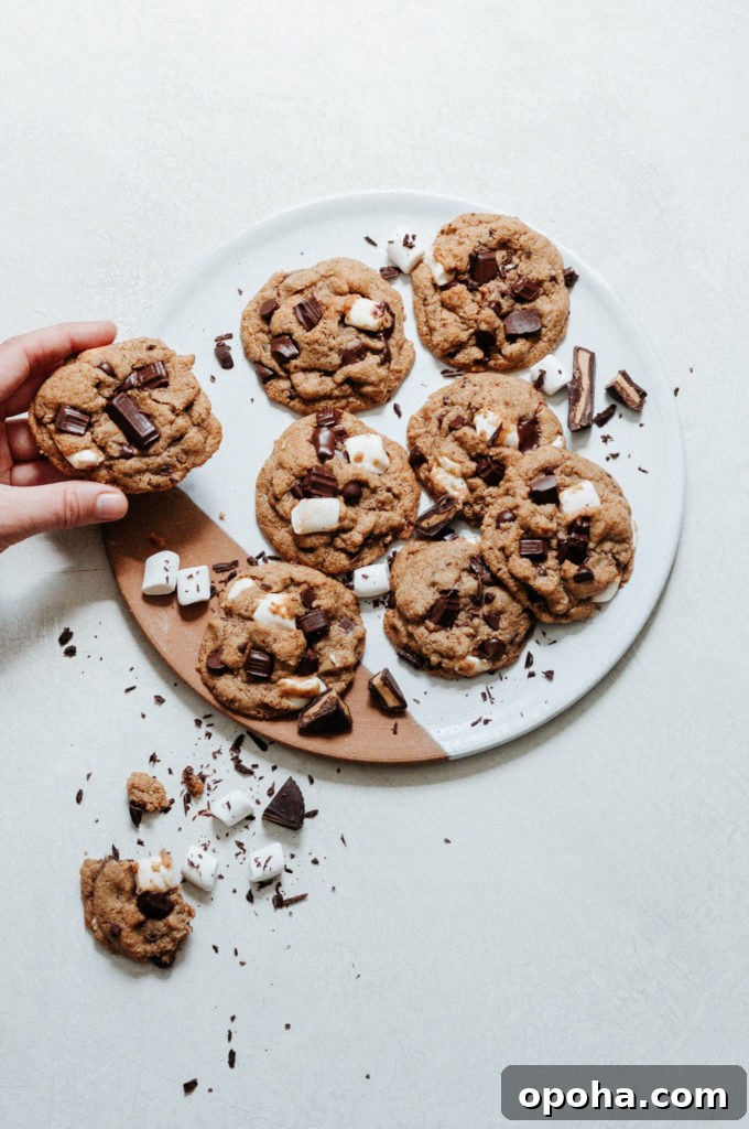 Peanut Butter Cup S'mores Cookies Recipe for Gooey Chocolate Treats 7 Peanut Butter Cup S'mores Cookies Gluten Free Grain Free