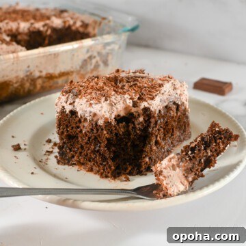 chocolate tres leches cake on a plate with a fork.