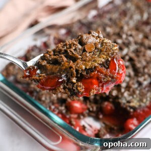 Decadent Chocolate Cherry Dump Cake Recipe for Chocolate Lovers 16 holding a spoonful of cherry chocolate dump cake in front of the baking dish.