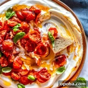 Creamy Whipped Ricotta Recipe: Quick Tips and Serving Ideas 10 Whipped ricotta.