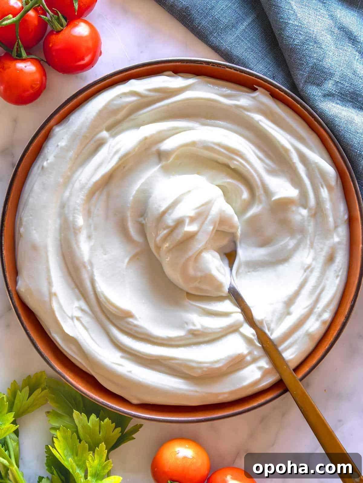 Creamy Whipped Ricotta Recipe: Quick Tips and Serving Ideas 3 Whipped ricotta on a terracotta plate.